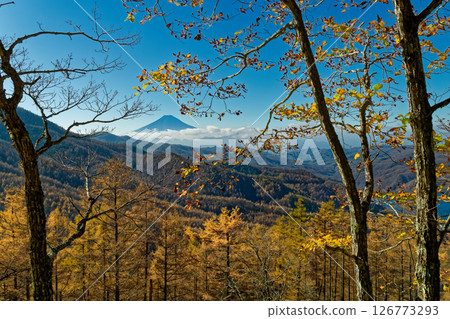 秋天的大保薩 - 從石丸峠看到的富士山 126773293