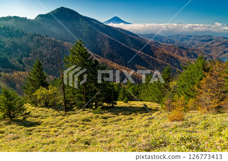 Autumnal Daibosatsu - Mt. Fuji and Mt. Koganezawa seen from near Ishimaru Pass 126773413