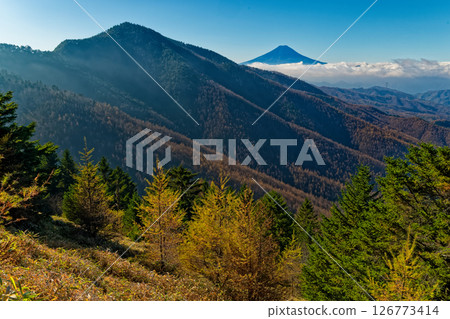 秋天的大寶薩 - 從石丸嶺附近看到的富士山和小金澤山 秋天的大寶薩 - 從石丸嶺附近看到的富士山和小金澤山 126773414