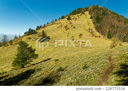 秋天從大菩薩峠和石丸峠眺望熊澤山 126773516