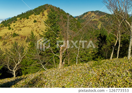 從天狗棚山眺望熊野山和大菩薩峠 126773553