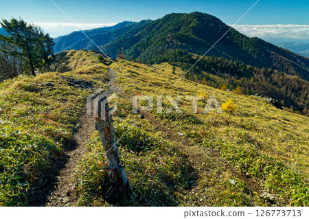 從大菩薩山脈的天狗棚眺望大山平和黃金座山的秋景 126773713