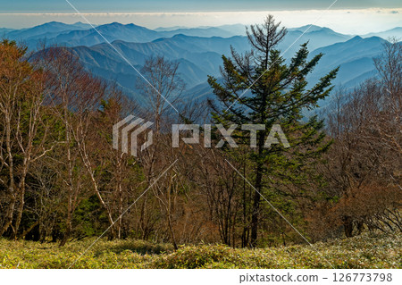 從天狗山眺望晨霧中的秋季大菩薩和奧多摩三山 126773798