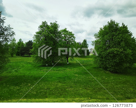 Green trees and green grass in public park with cloudy blue sky. Lush green landscape 126773873
