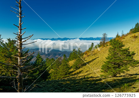 大菩薩山脈、石丸嶺草原以及雲層之上的南阿爾卑斯山脈 大菩薩山脈、石丸嶺草原以及雲層之上的南阿爾卑斯山脈 126773925