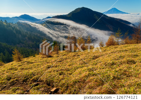 View of Okamidaira, Mt. Koganezawa, and Mt. Fuji with morning mist flowing from Ishimaru Pass in the Daibosatsu mountain range View of Okamidaira, Mt. Koganezawa, and Mt. Fuji with morning mist flowing from Ishimaru Pass in the Daibosatsu mountain range 126774121