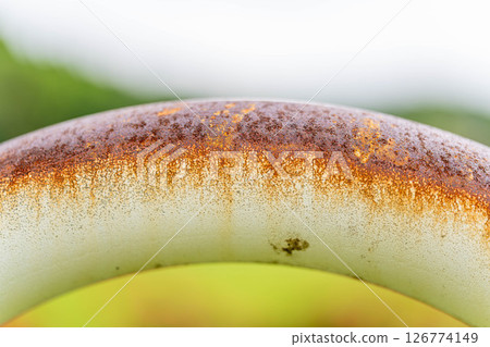 Decaying Beauty 126774149