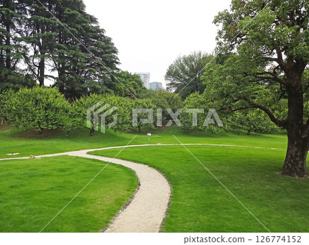 赤坂離宮迎賓館日式風格的附屬建築-由心亭的日本花園 赤坂離宮迎賓館日式風格的附屬建築-由心亭的日本花園 126774152