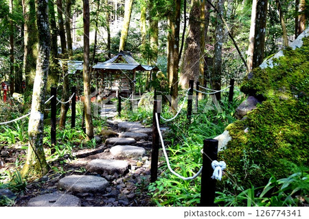 京都市：貴船神社中宮社道與新綠 126774341