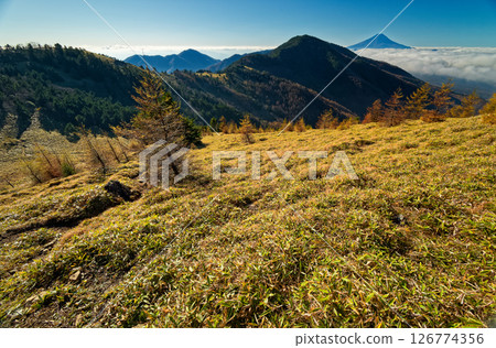 從大菩薩嶺和Kumazawa山看到的Koganesawa山和富士山 126774356