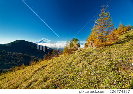 從大菩薩嶺和Kumazawa山看到的Koganesawa山和富士山 126774357