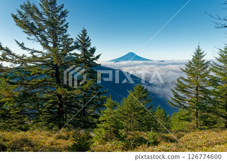 Mount Fuji as seen from the Daibosatsu Range and Kumasawayama Mountain Mount Fuji as seen from the Daibosatsu Range and Kumasawayama Mountain 126774600