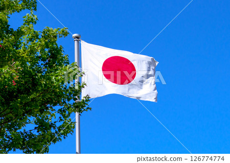 升起的日本國旗,新鮮的綠色植物和藍天,被裁剪 升起的日本國旗,新鮮的綠色植物和藍天,被裁剪 126774774