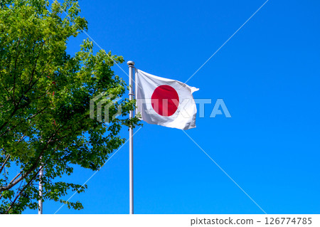 The Japanese flag being raised, fresh greenery and blue sky 126774785