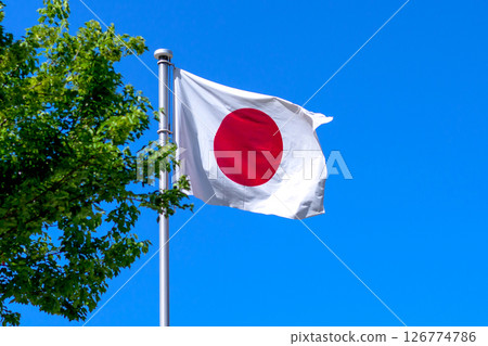 升起的日本國旗,新鮮的綠色植物和藍天,被裁剪 升起的日本國旗,新鮮的綠色植物和藍天,被裁剪 126774786