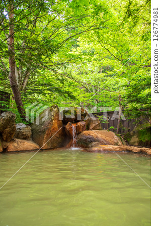 被新綠包圍的露天浴池“奧飛騨溫泉鄉、平湯溫泉、平湯之湯” 126774981