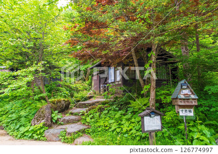 An open-air bath surrounded by fresh greenery "Okuhida Onsenkyo, Hirayu Onsen, Hirayu no Yu" 126774997