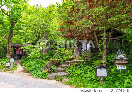 被新綠包圍的露天浴池“奧飛騨溫泉鄉、平湯溫泉、平湯之湯” 被新綠包圍的露天浴池“奧飛騨溫泉鄉、平湯溫泉、平湯之湯” 126774998