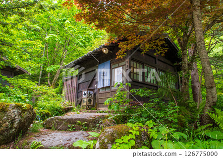 An open-air bath surrounded by fresh greenery "Okuhida Onsenkyo, Hirayu Onsen, Hirayu no Yu" An open-air bath surrounded by fresh greenery "Okuhida Onsenkyo, Hirayu Onsen, Hirayu no Yu" 126775000