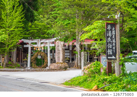 平湯神社周圍及平湯鄉土博物館入口處的新綠 126775003