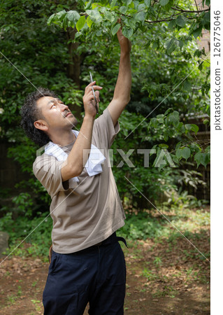 Image of a gardener pruning 126775046