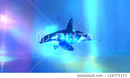 Killer whale in the sea 126775153
