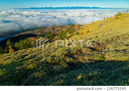 Sea of clouds and the Southern Alps mountain range seen from Daibosatsu Pass in autumn 126775293