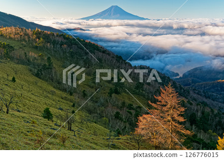 秋天從大佛山脊線看到的早晨富士山 126776015