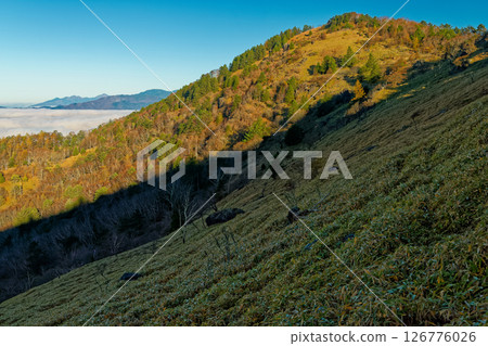 清晨的大菩薩山、雲霧繚繞的金峰山和八嶽山脈 126776026