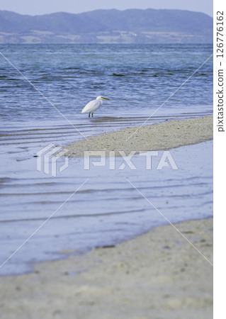 Shirasabe on the shore Shirasabe on the shore 126776162