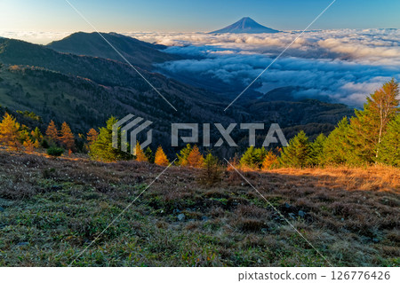 清晨從大菩薩嶺眺望雲層之上的富士山 清晨從大菩薩嶺眺望雲層之上的富士山 126776426