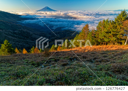 Mount Fuji above the clouds as seen from Daibosatsurei in the morning 126776427
