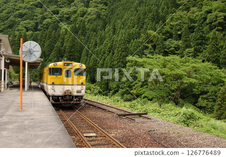 A local train parked at a station with a forest of fresh greenery in the background 126776489