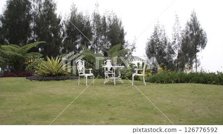 White wrought iron chairs and round table with a potted plant set on a grassy lawn surrounded by lush green plants vibrant yellow flowers and tall pine trees under a cloudy sky 126776592