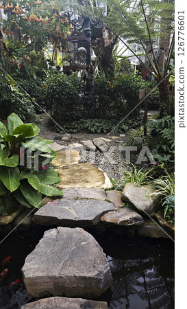 Stone pathway over koi pond leading to a lush garden with tropical plants vibrant flowers and a vintage birdcage under a large tree on a bright day 126776601