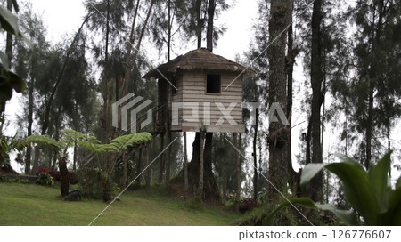 Wooden treehouse with thatched roof nestled among tall pine trees in a serene forest with green grass, lush foliage, and birds on the ground under an overcast sky. Wooden treehouse with thatched roof nestled among tall pine trees in a serene forest with green grass, lush foliage, and birds on the ground under an overcast sky. 126776607