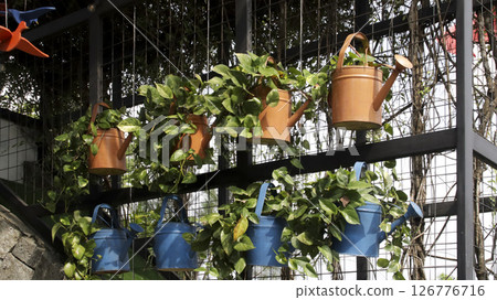 Decorative Hanging Watering Cans with Green Plants Against a Metal Fence in a Sunny Garden Setting 126776716