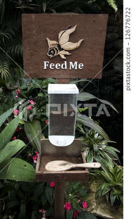 Fish Feeding Station in a Lush Tropical Garden with Wooden Sign Featuring Carved Fish Design Surrounded by Green Foliage and Colorful Flowers Fish Feeding Station in a Lush Tropical Garden with Wooden Sign Featuring Carved Fish Design Surrounded by Green Foliage and Colorful Flowers 126776722