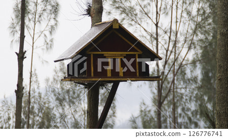 Handcrafted Wooden Birdhouse with Traditional Architectural Design Mounted on a Tree in a Misty Forest with Tall Trees and Greenery in the Background 126776741