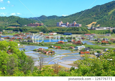 Season of rice planting 126776771
