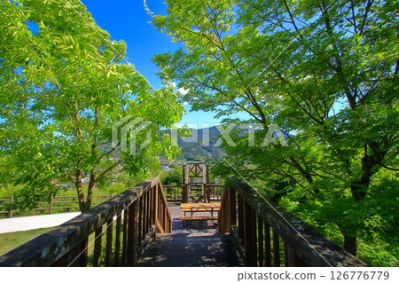 5月的龍王山公園綠意盎然（東廣島市黑瀨町） 126776779