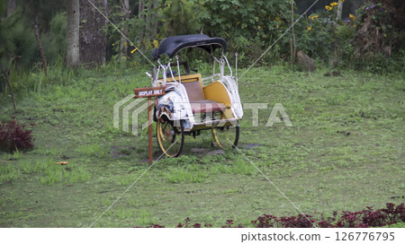 Rustic yellow pedicab with a "display only" sign surrounded by lush green grass and vibrant plants in a serene outdoor setting. Rustic yellow pedicab with a "display only" sign surrounded by lush green grass and vibrant plants in a serene outdoor setting. 126776795