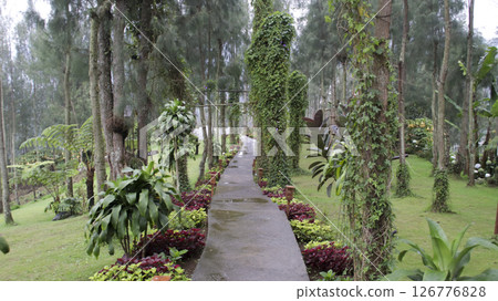 Serene Garden Pathway Surrounded by Lush Greenery and Ivy-Covered Trees in a Tranquil Forest Setting Serene Garden Pathway Surrounded by Lush Greenery and Ivy-Covered Trees in a Tranquil Forest Setting 126776828