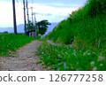 At the foot of the walking path 126777258