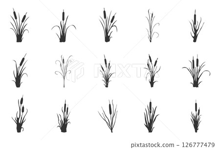 Cattail svg, Cattails svg, Cattail silhouette, Cattail plant silhouette, Cattail plant svg, Cattail vectors, Cattail clipart, Cattail icon set. 126777479