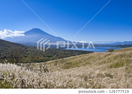 [Yamanashi Prefecture] Mt. Fuji as seen from Lake Yamanaka Panorama Deck 126777519