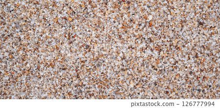 Natural sandy background with sea sand texture on beach close-up Natural sandy background with sea sand texture on beach close-up 126777994
