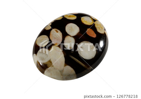 jasper nature's pattern jasper nature's pattern 126778218