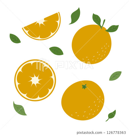 橙子和樹葉的清新插圖。向量。 126778363