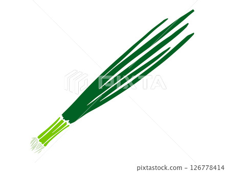 復古手繪蔬菜插圖，蔥 126778414